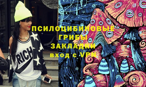 трава Абаза