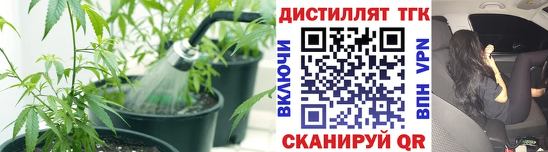 ТГК THC oil  Рыльск 